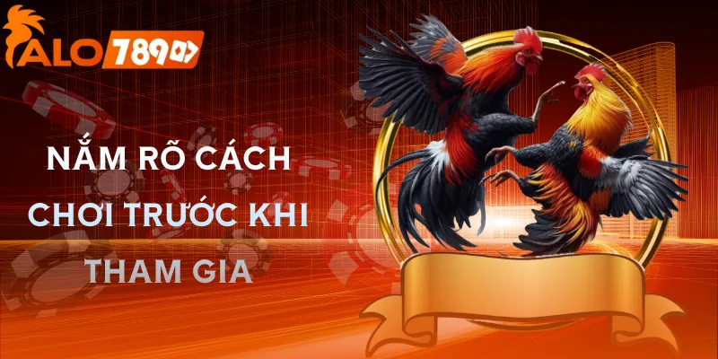 da-ga-alo789-huong-dan