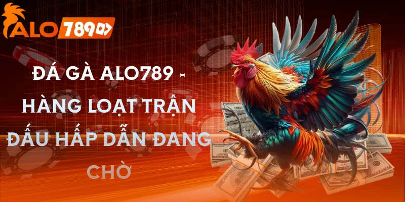 da-ga-alo789-suc-hut