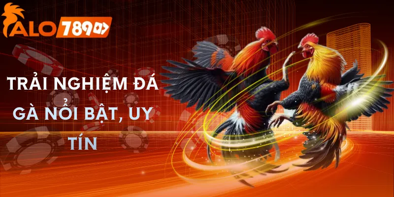 da-ga-alo789-uu-diem